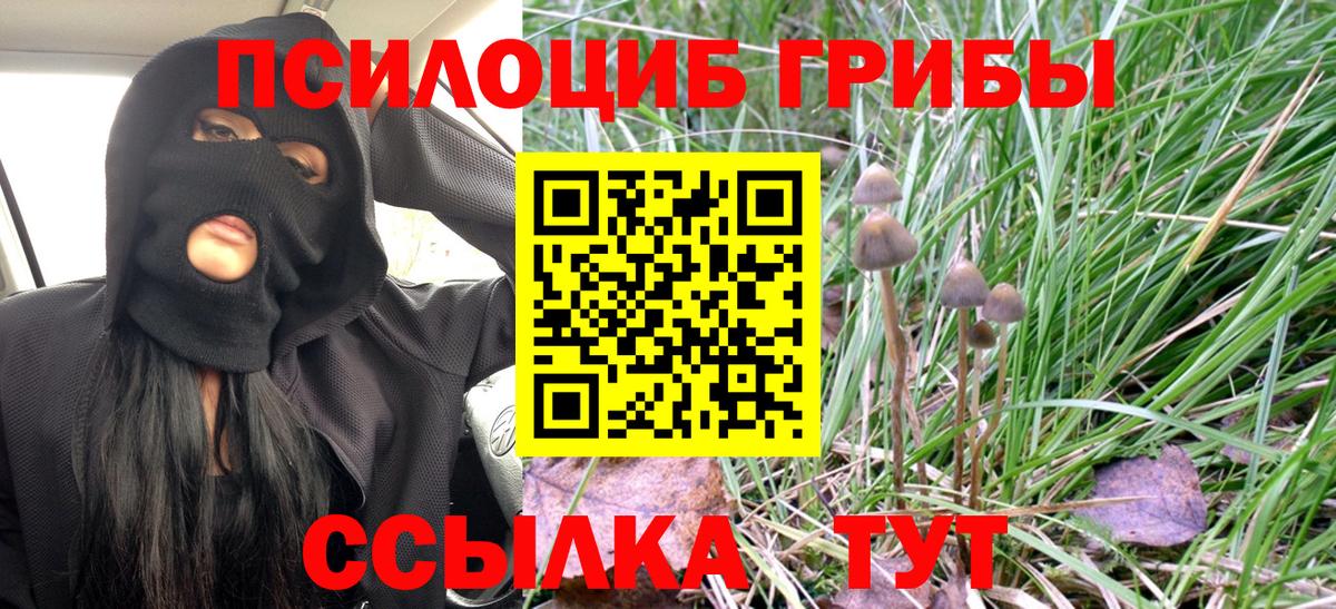 Псилоцибиновые грибы мухоморы  Галлюциногенные грибы прущие грибы  Вязьма  Вход с VPN 